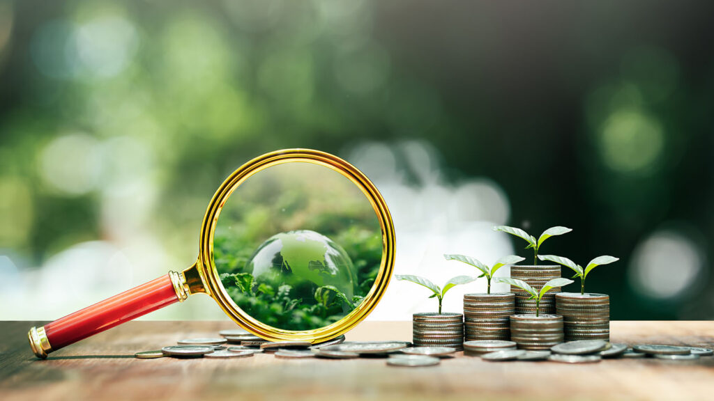 ecopenta ofrece plan de taxonomia en barcelona