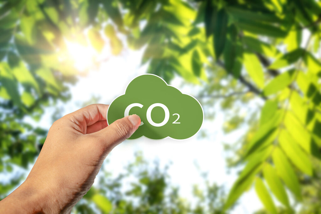 ecopenta ofrece servicios de calculo de huella de carbono en madrid